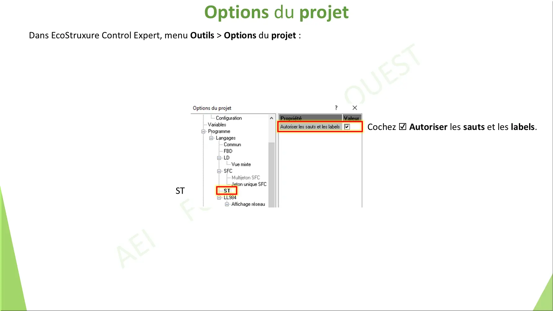 Options du projet